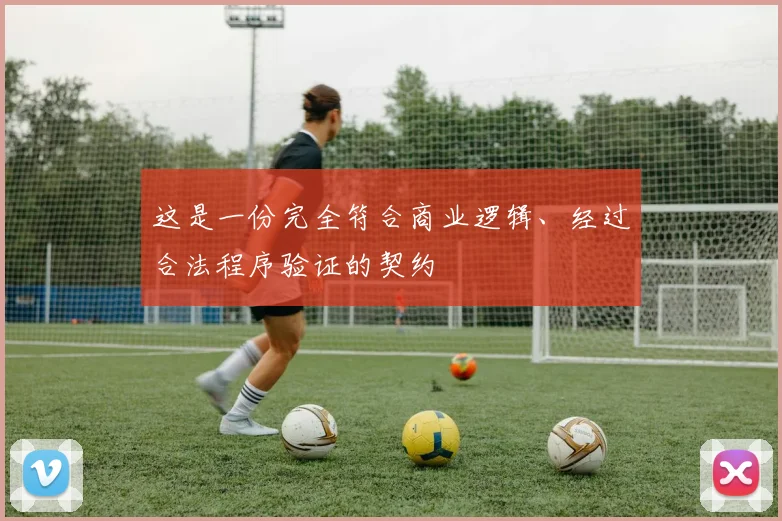 这是一份完全符合商业逻辑、经过合法程序验证的契约