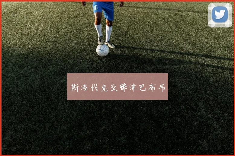 斯洛伐克交锋津巴布韦