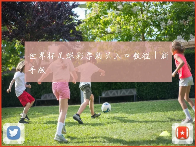 世界杯足球彩票购买入口教程｜新手版