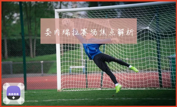 委内瑞拉赛场焦点解析