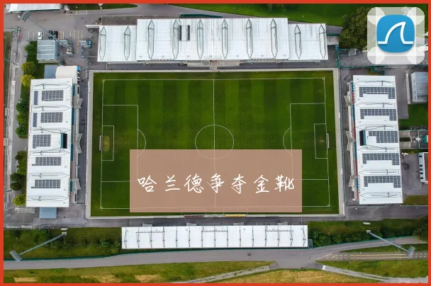 哈兰德争夺金靴