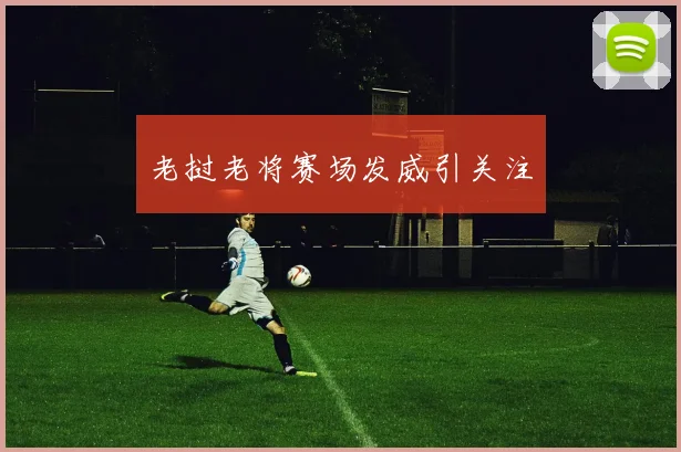 老挝老将赛场发威引关注