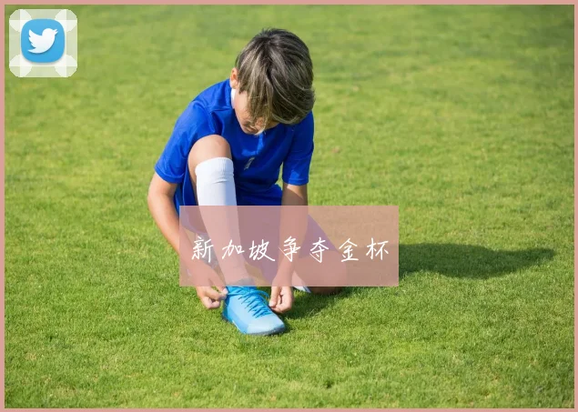 新加坡争夺金杯
