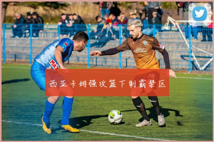 西亚卡姆强攻篮下制霸禁区
