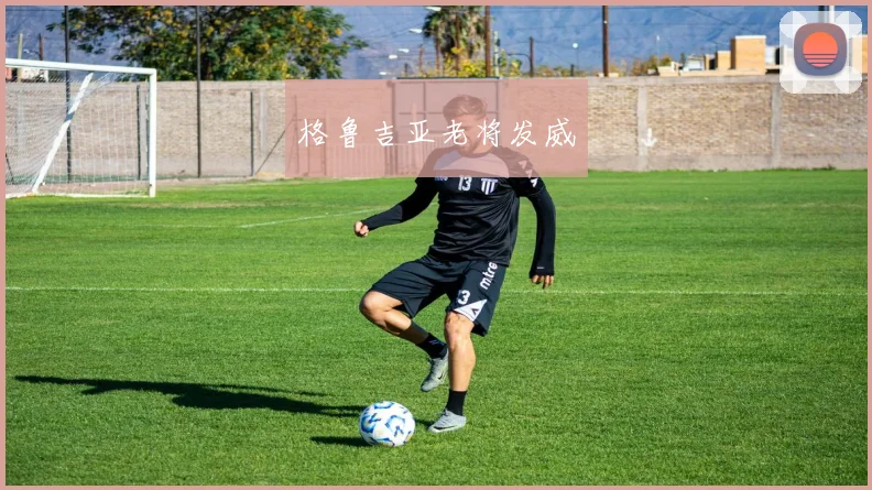 格鲁吉亚老将发威
