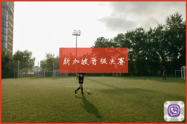 新加坡晋级决赛