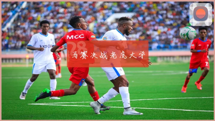 马赛决战老虎大学