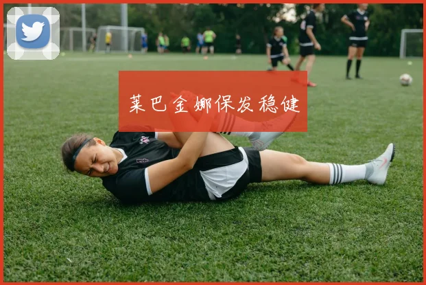 莱巴金娜保发稳健