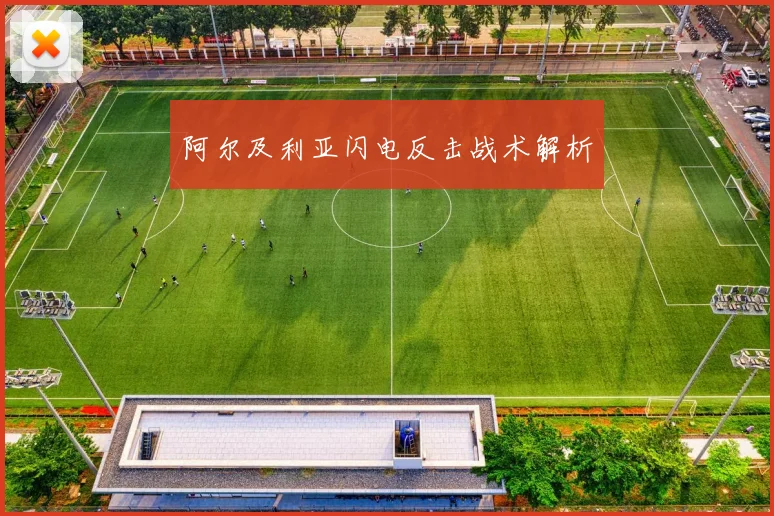 阿尔及利亚闪电反击战术解析