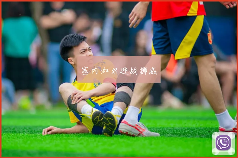 塞内加尔迎战挪威