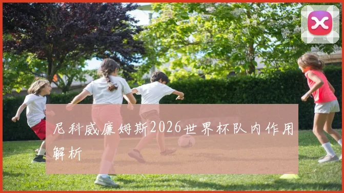 尼科威廉姆斯2026世界杯队内作用解析