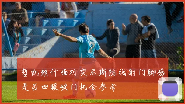 哲凯赖什面对突尼斯防线射门脚感是否回暖破门机会参考