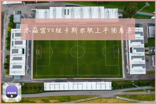 水晶宫vs纽卡斯尔联上半场看点