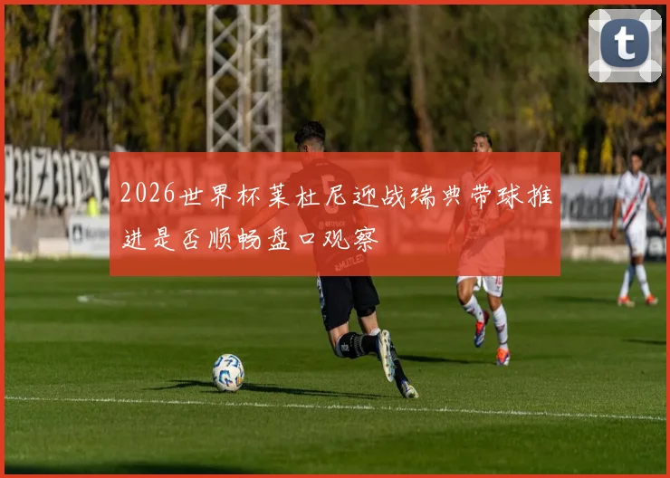 2026世界杯莱杜尼迎战瑞典带球推进是否顺畅盘口观察
