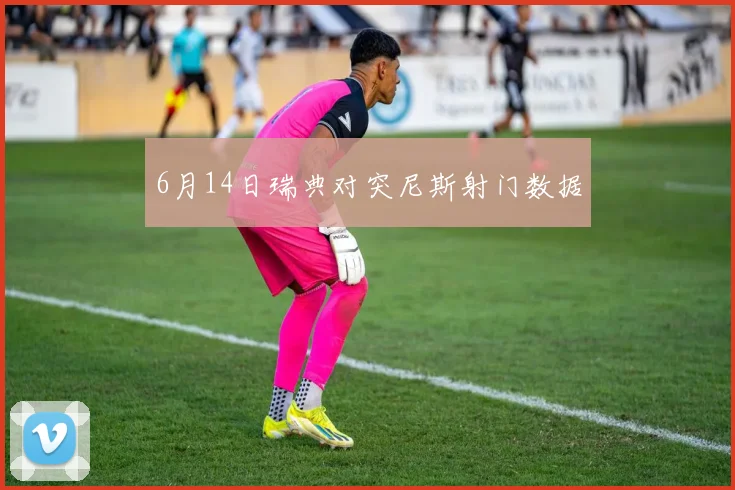 6月14日瑞典对突尼斯射门数据