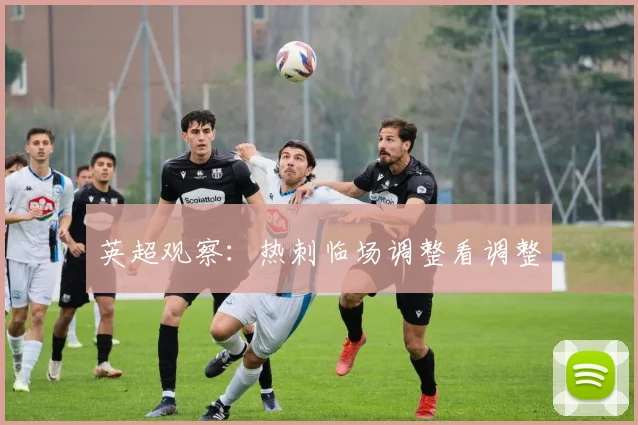 英超观察：热刺临场调整看调整