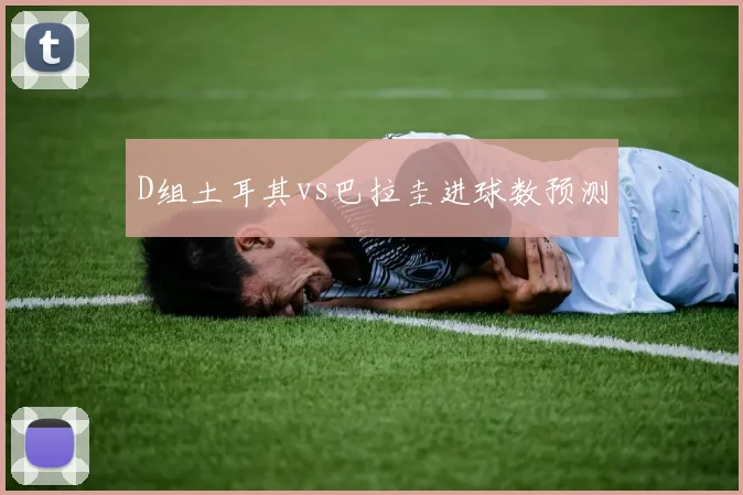 D组土耳其vs巴拉圭进球数预测
