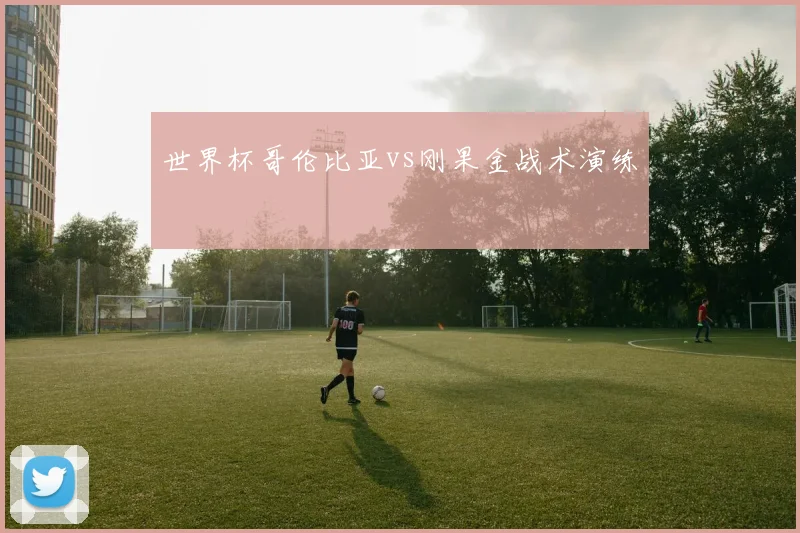 世界杯哥伦比亚vs刚果金战术演练