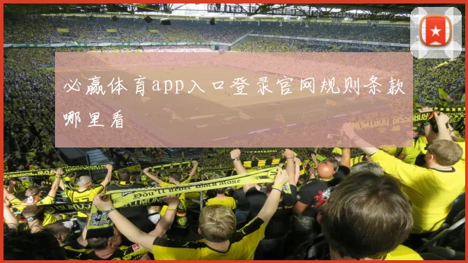 必赢体育app入口登录官网规则条款哪里看