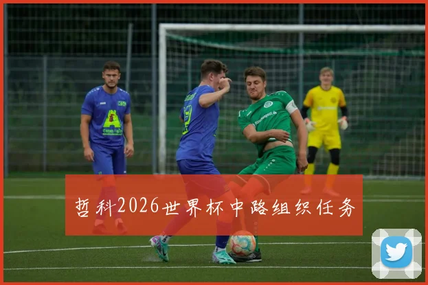 哲科2026世界杯中路组织任务